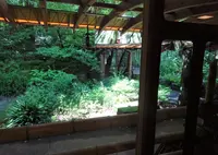 みなもカフェの写真・動画_image_1258494