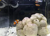 京都水族館の写真・動画_image_1265574