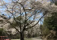ささやまの森公園の写真・動画_image_1265716