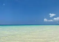 渡口の浜の写真・動画_image_1265868