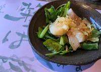 菜っぱの写真・動画_image_1285043