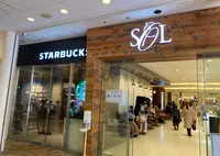 神戸スパイス神戸国際会館 SOL 店の写真・動画_image_1307057