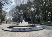 白川公園の写真・動画_image_1307143