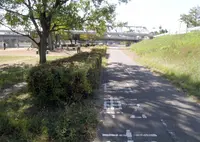 武庫川の写真・動画_image_131299