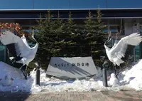 釧路空港（たんちょう釧路空港）の写真・動画_image_131459