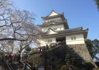 小田原城の写真・動画_image_132230