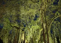 愛宕坂茶道美術館の写真・動画_image_134264