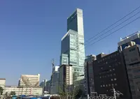 ハルカス300 展望台の写真・動画_image_134337