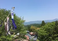 吉野山の写真・動画_image_134855