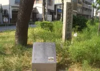 三軒家公園の写真・動画_image_135003