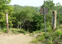 仙元山の写真・動画_image_135272