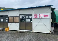 桃茂実苑観光農園の写真・動画_image_1398223