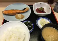 魚竹の写真・動画_image_142671