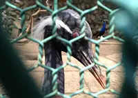 高崎公園の写真・動画_image_143336