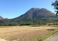 自然食ゆうどの写真・動画_image_144678