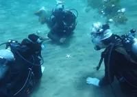 佐渡島の写真・動画_image_145348