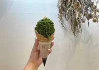 茶々工房 ふたつめの写真・動画_image_1470185