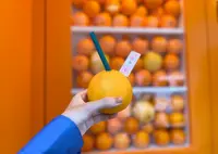 浅草生絞り果汁 おれんじーるの写真・動画_image_1470279
