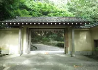 県立大磯城山公園の写真・動画_image_147952