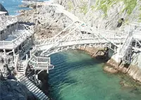 神津島 赤崎海水浴場の写真・動画_image_148366