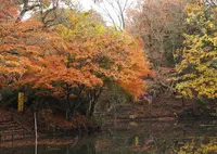 震生湖の写真・動画_image_151114