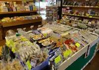 田沢湖市の写真・動画_image_153507