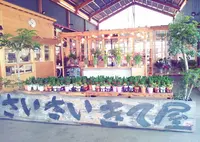 SAISAICAFEの写真・動画_image_153843