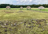 大湯環状列石の写真・動画_image_1543468