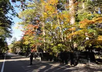 角館武家屋敷通りの写真・動画_image_154587
