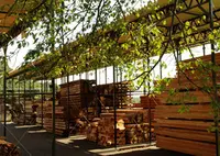 斉藤林業　工場見学の写真・動画_image_155509