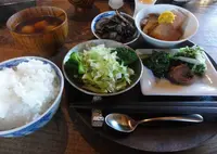 樫の写真・動画_image_157106