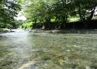 道志川の写真・動画_image_157785