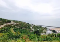 河内町河内の写真・動画_image_159164