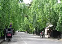 角館武家屋敷通りの写真・動画_image_161233