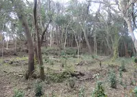 炬口城の写真・動画_image_161409