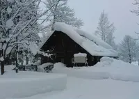 ピンネシリオートキャンプ場の写真・動画_image_162350