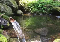 磐梯西山麓湧水群（代表　龍ケ沢湧水）の写真・動画_image_163317