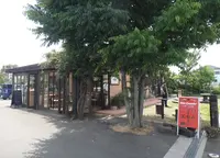 ミオ・カザロの写真・動画_image_167422