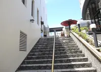 瀧泉寺（目黒不動）の写真・動画_image_172152