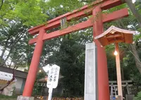 世田谷八幡宮の写真・動画_image_172160