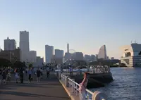 山下公園の写真・動画_image_172298