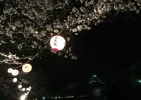 熊本城の写真・動画_image_173383