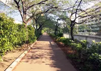 下目黒１丁目７−９の写真・動画_image_178771