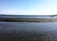 葛西臨海公園の写真・動画_image_185478