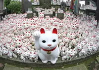 豪徳寺の写真・動画_image_193504