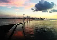 江川海岸の写真・動画_image_195808