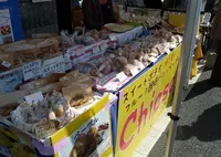 チーサの写真・動画_image_196620