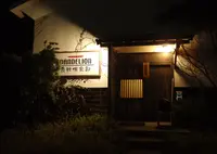 ダンデライオンの写真・動画_image_202649