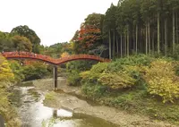 観音橋の写真・動画_image_206090