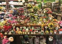 サンクチュアリの写真・動画_image_211010